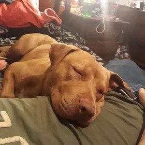 Meet your Posher, Bret